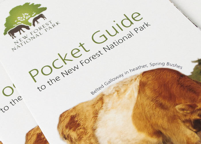 New Forest National Park Pocket Guide