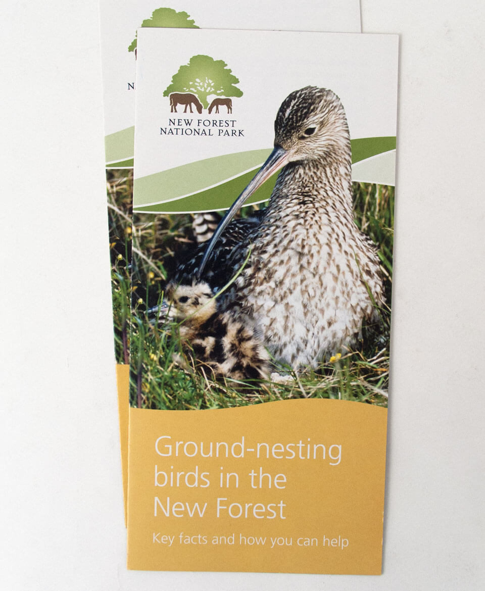 New Forest National Park guide to ground nesting birds