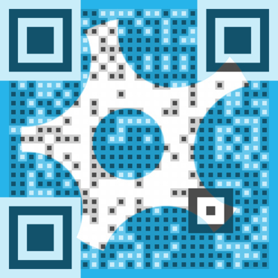 Tinstar Design Website QR Code