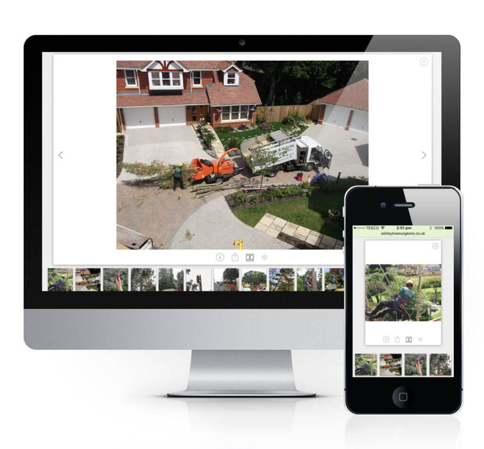 Ashley Tree Surgeons image gallery