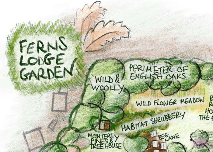 Ferns Lodge NCS Garden Map Illustration