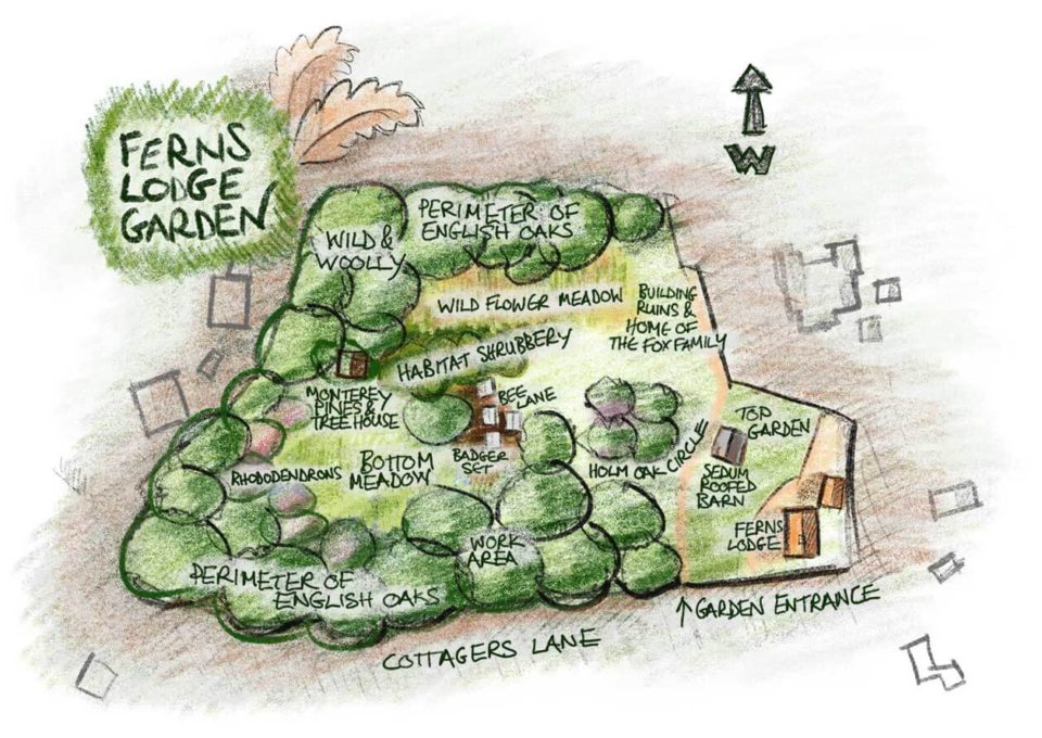 Ferns Lodge NCS Garden Map