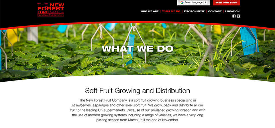 The New Forest Fruit Company English