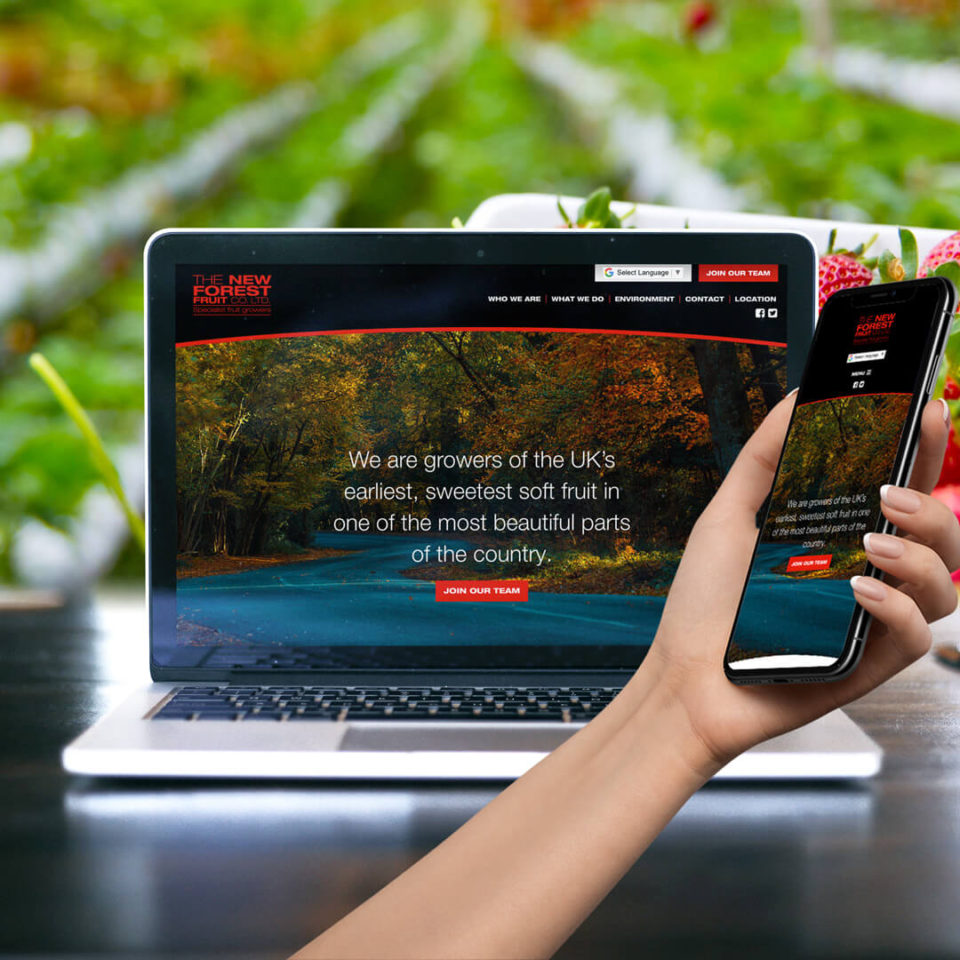 The New Forest Fruit Company website