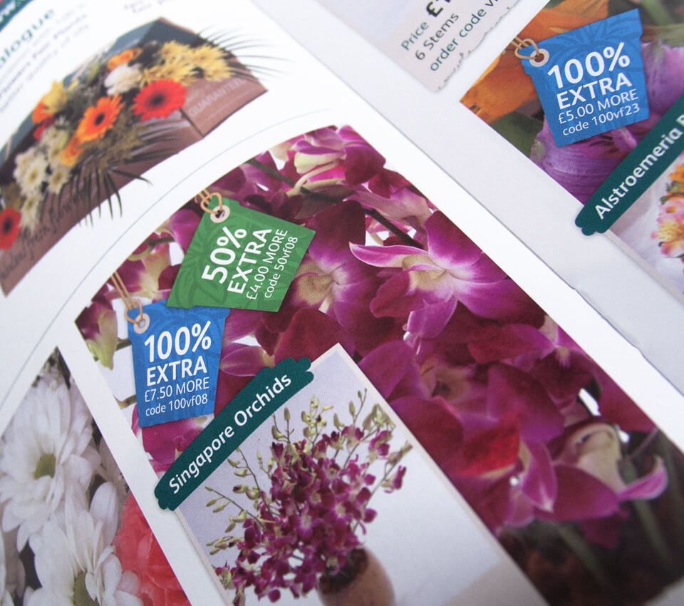 Emerald Supplies Valueflora Catalogue Design